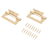 АЛЛЮР 100х75 2BB SBP КОРОБКА 2,5мм мат.латунь Петля накладная без врезки 2 шт (50,10)
