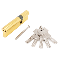 Стандарт F-01 100(30х10х60) GP 5кл золото перф. ключ/ключ Цилиндровый механизм(100,10) Стандарт F-01 100(30х10х60) GP 5кл золото перф. ключ/ключ Цилиндровый механизм(100,10)