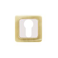 Накладка для ц/м АЛЛЮР АРТ ET-S1 SB/PB(4276) мат.золото/золото (100,10)