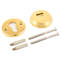 Накладка для ц/м АЛЛЮР Н-03 PVD латунь 60-80мм (50) Накладка для ц/м АЛЛЮР Н-03 PVD латунь 60-80мм (50)